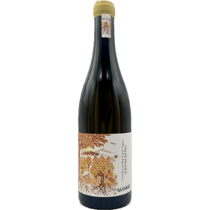 Domaine Mayard 2024