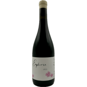 Jeremy Carteret – Euphoria 2023