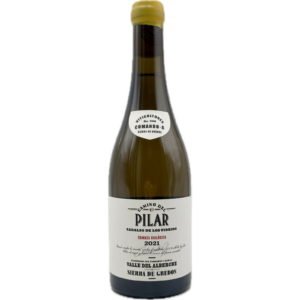 Comando G – Camino del Pilar 2021